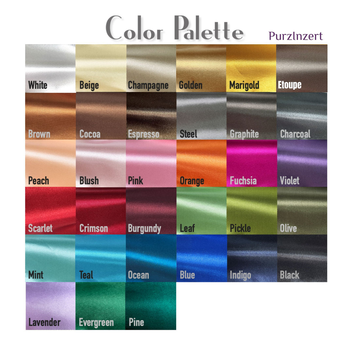 Bag Insert for (Coach, Buy Now Turnlock Tote Bag 40) Organizer of Silk Fabric