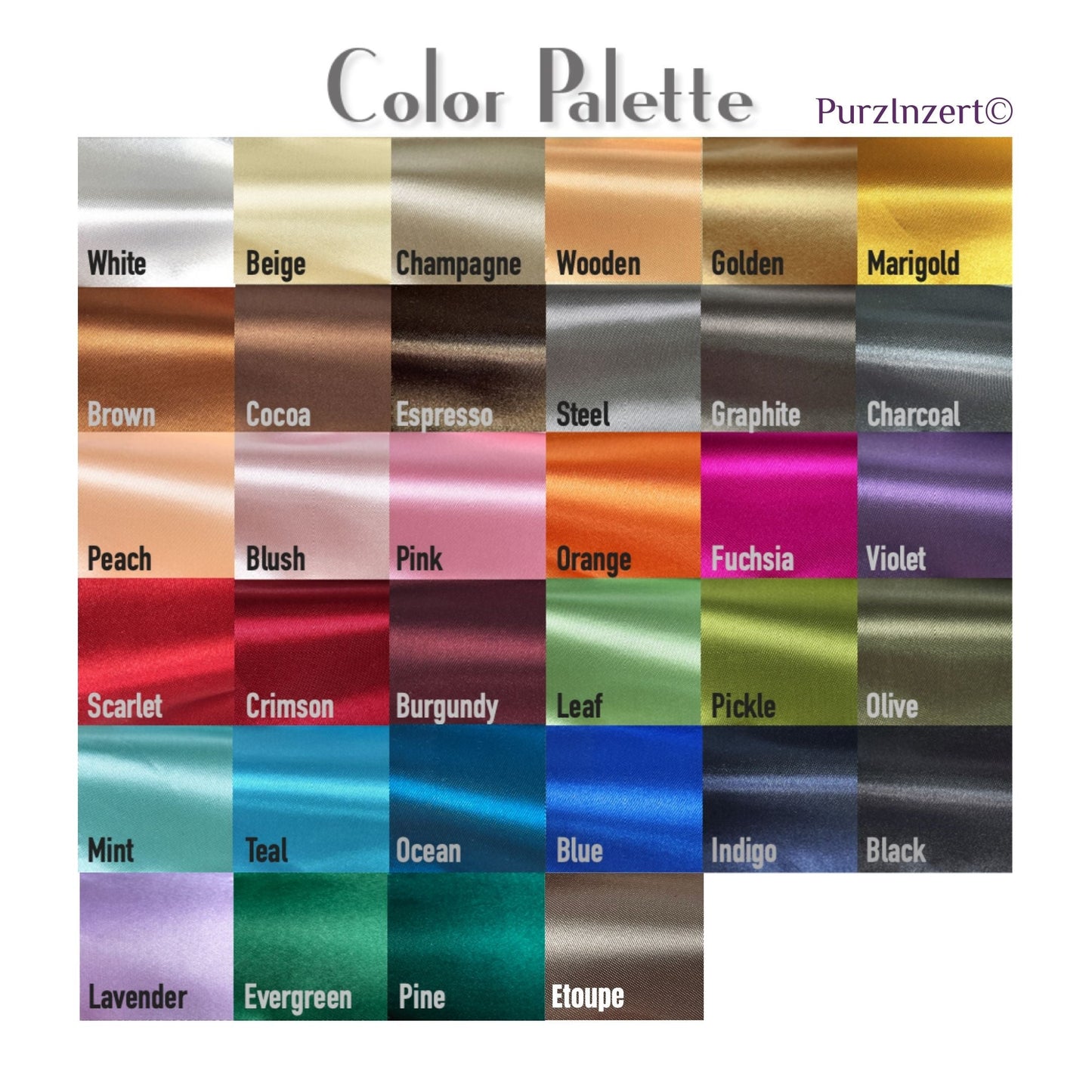 Bag Insert for (Chloe, Medium Marcie) Organizer of Silk Fabric