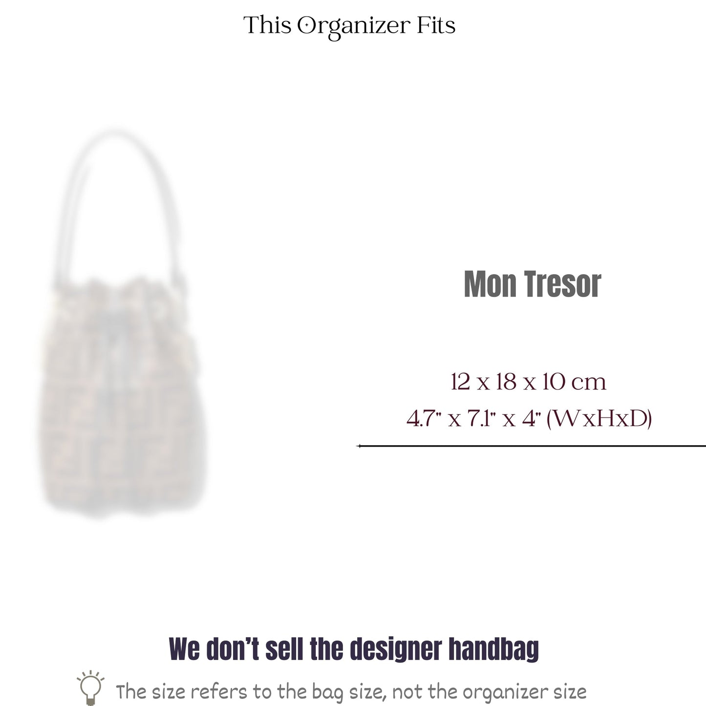 Bag Insert for (Fendi, Mon Tresor) Organizer of Silk Fabric