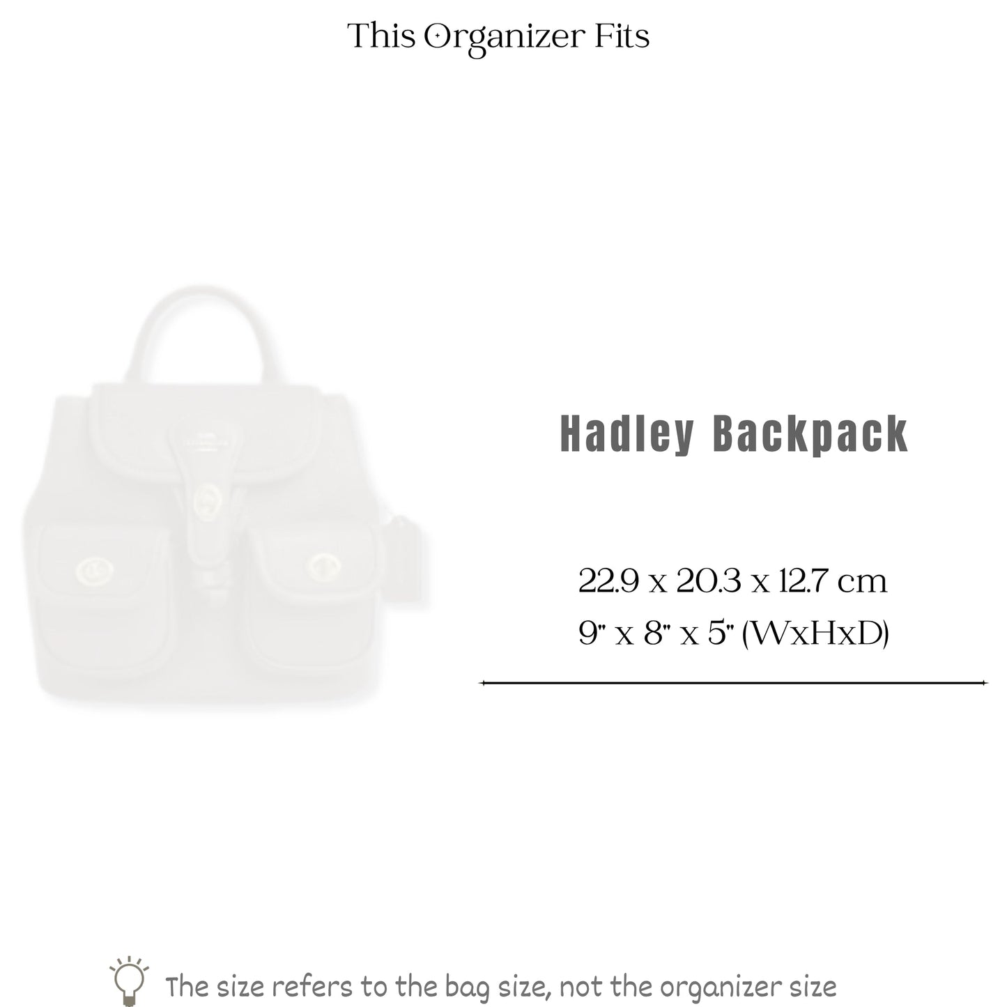 Bag Insert for (Coach, Hadley Backpack) Organizer of Silk Fabric