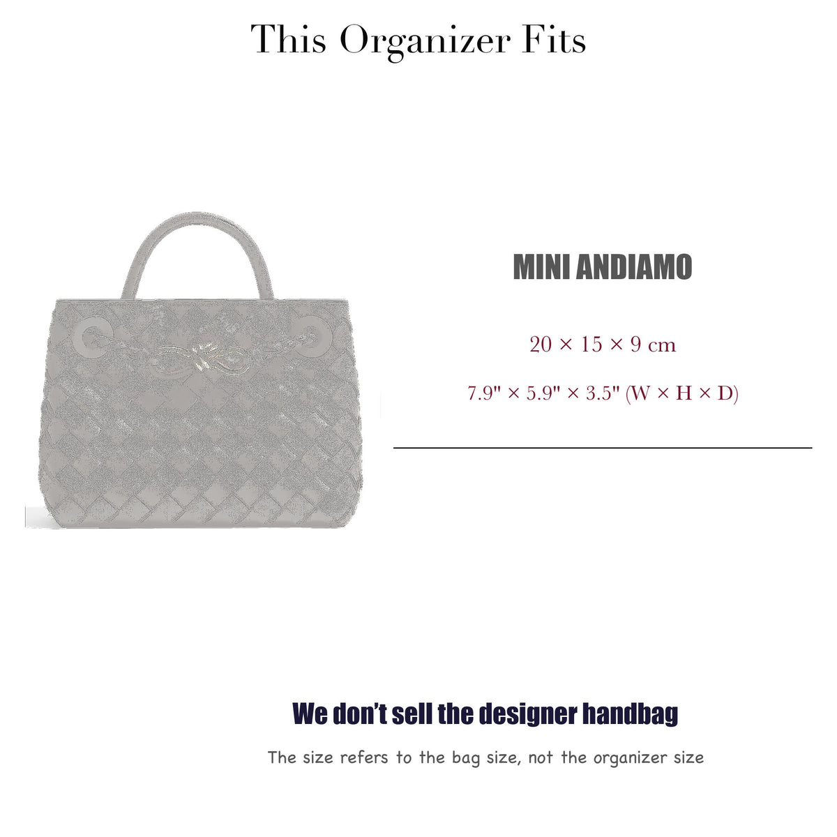 Bag Insert for (Bottega Veneta, Mini Andiamo) Organizer of Silk Fabric