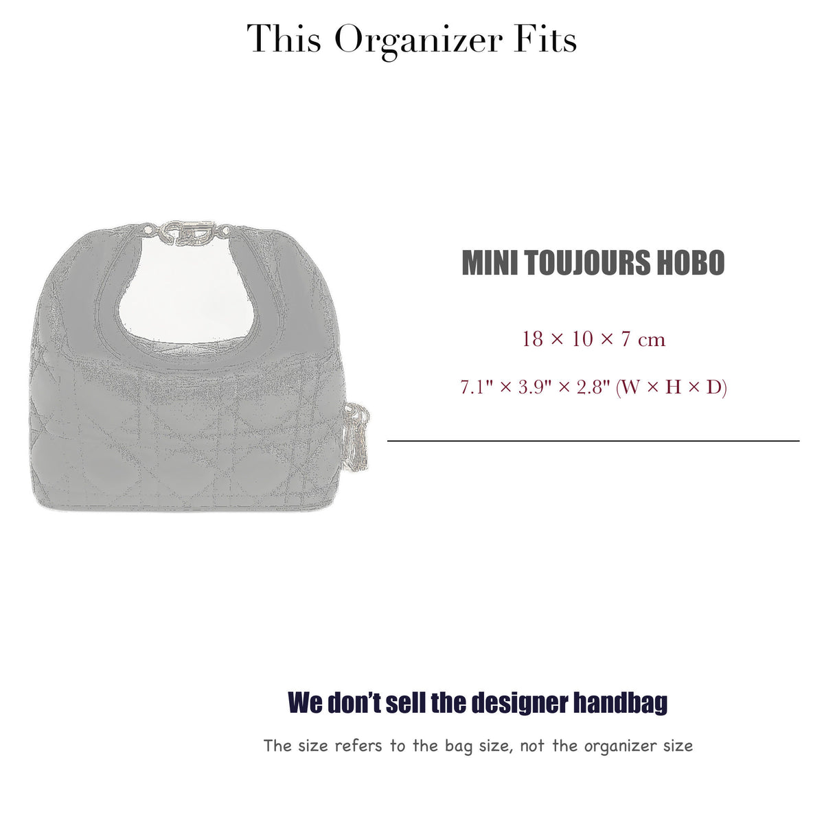 Bag Insert for (Dior, Mini Toujours Hobo) Organizer of Silk Fabric