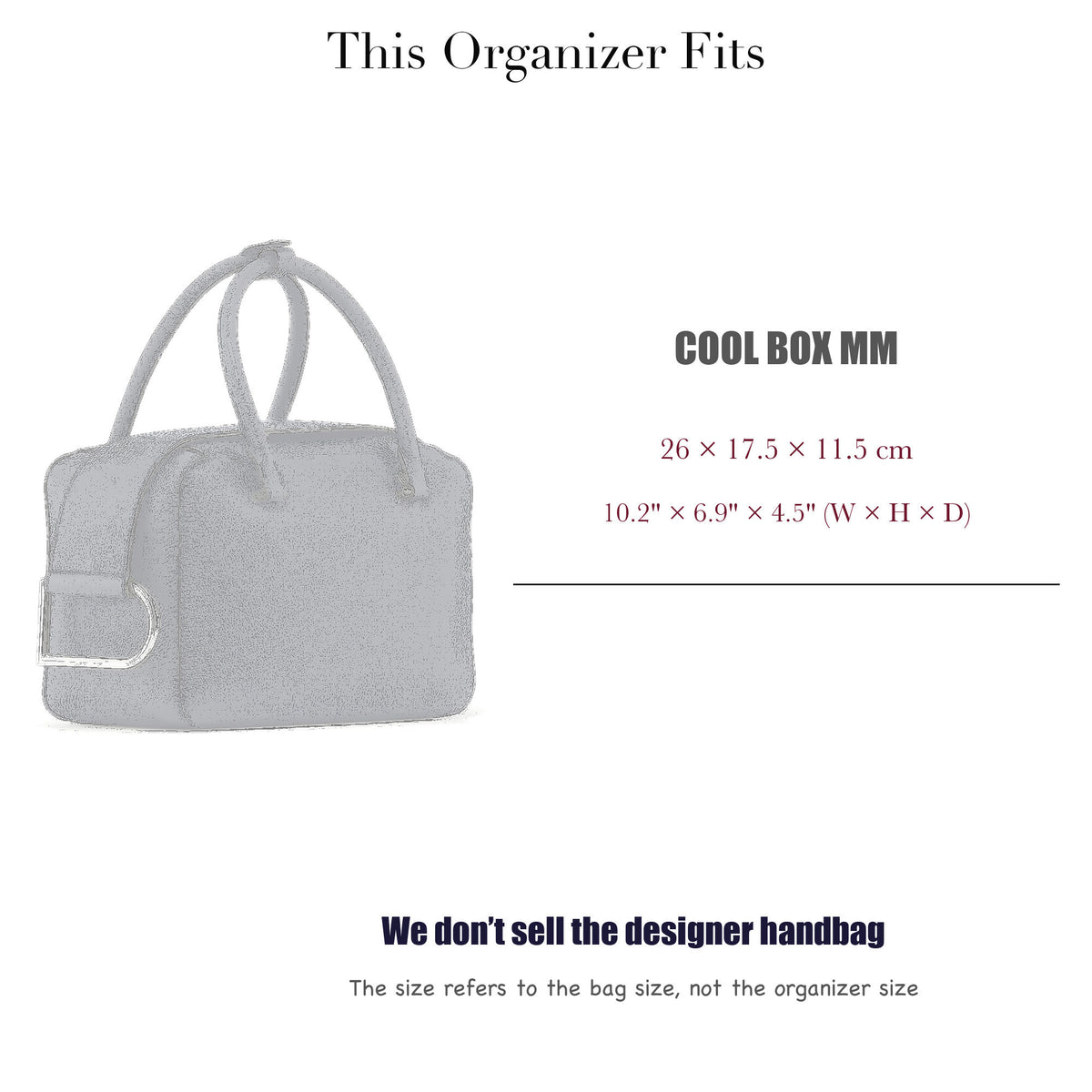 Bag Insert for (Delvaux, Cool Box MM) Organizer of Silk Fabric