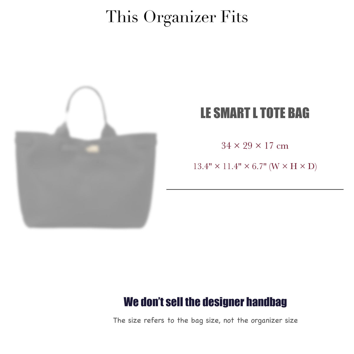 Bag Insert for (Longchamp, Le Smart L Tote Bag) Organizer of Nylon Fabric