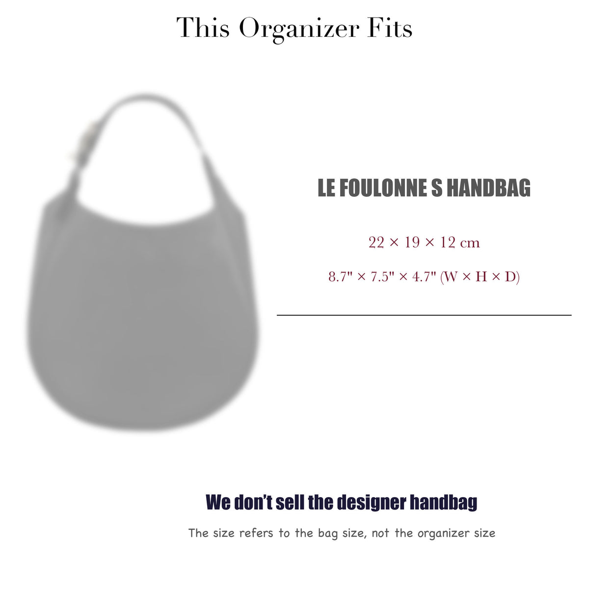 Bag Insert for (Longchamp, Le Foulonne S HandBag) Organizer of Silk Fabric