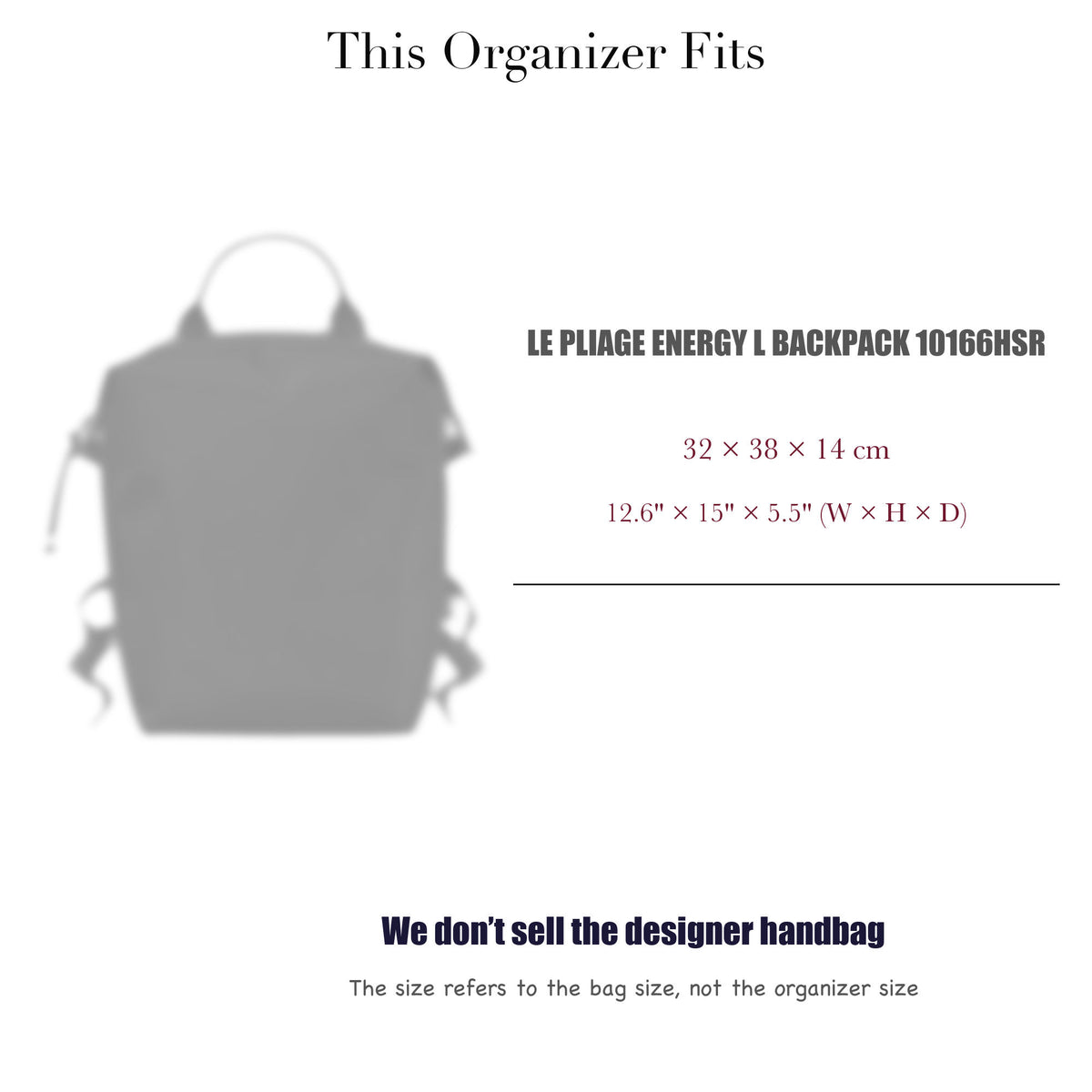 Bag Insert for (Longchamp, Le Pliage Energy L Backpack 10166HSR) Organizer of DupontPaper with Silk Interior