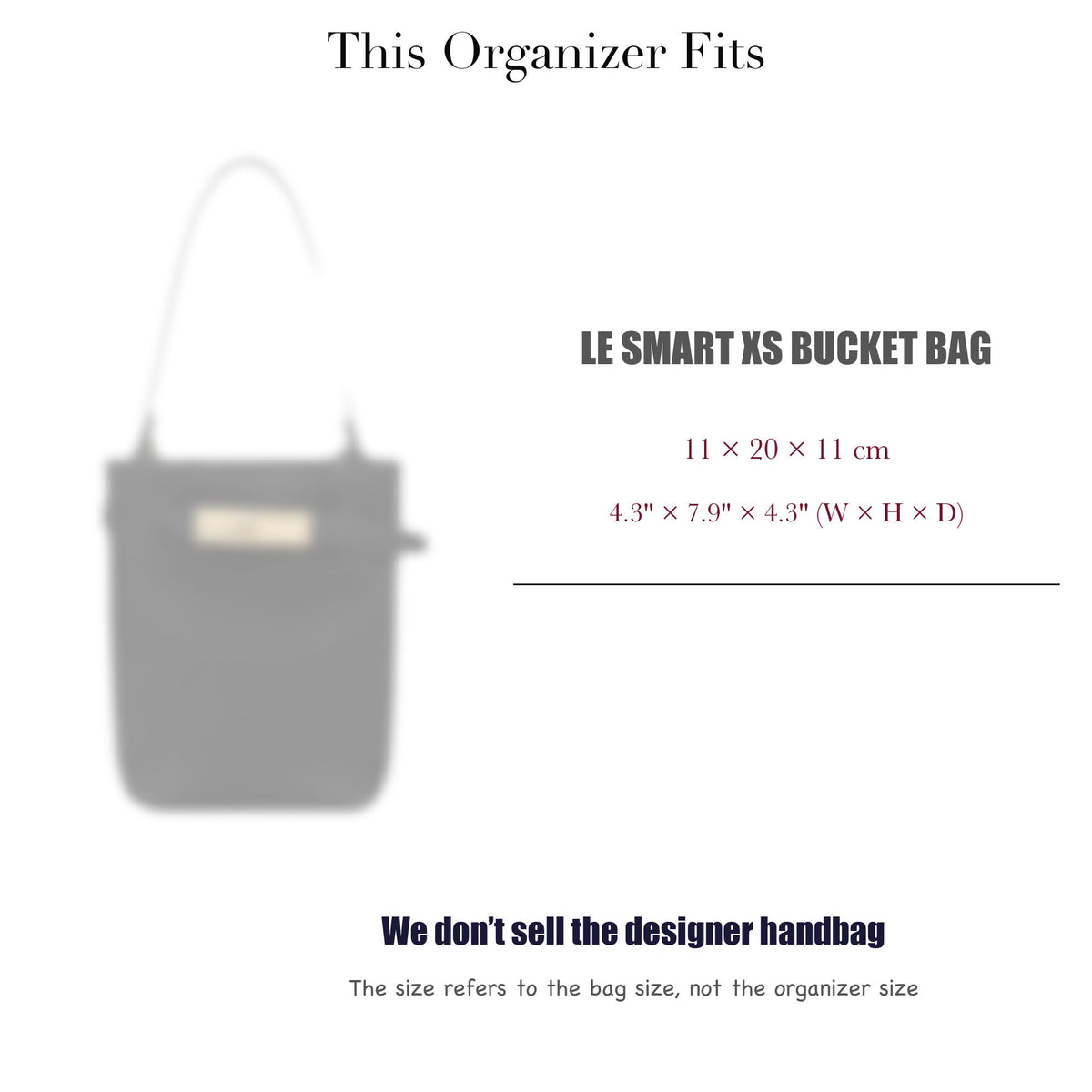 Bag Insert for (Longchamp, Le Smart XS Bucket Bag) Organizer of Silk Fabric