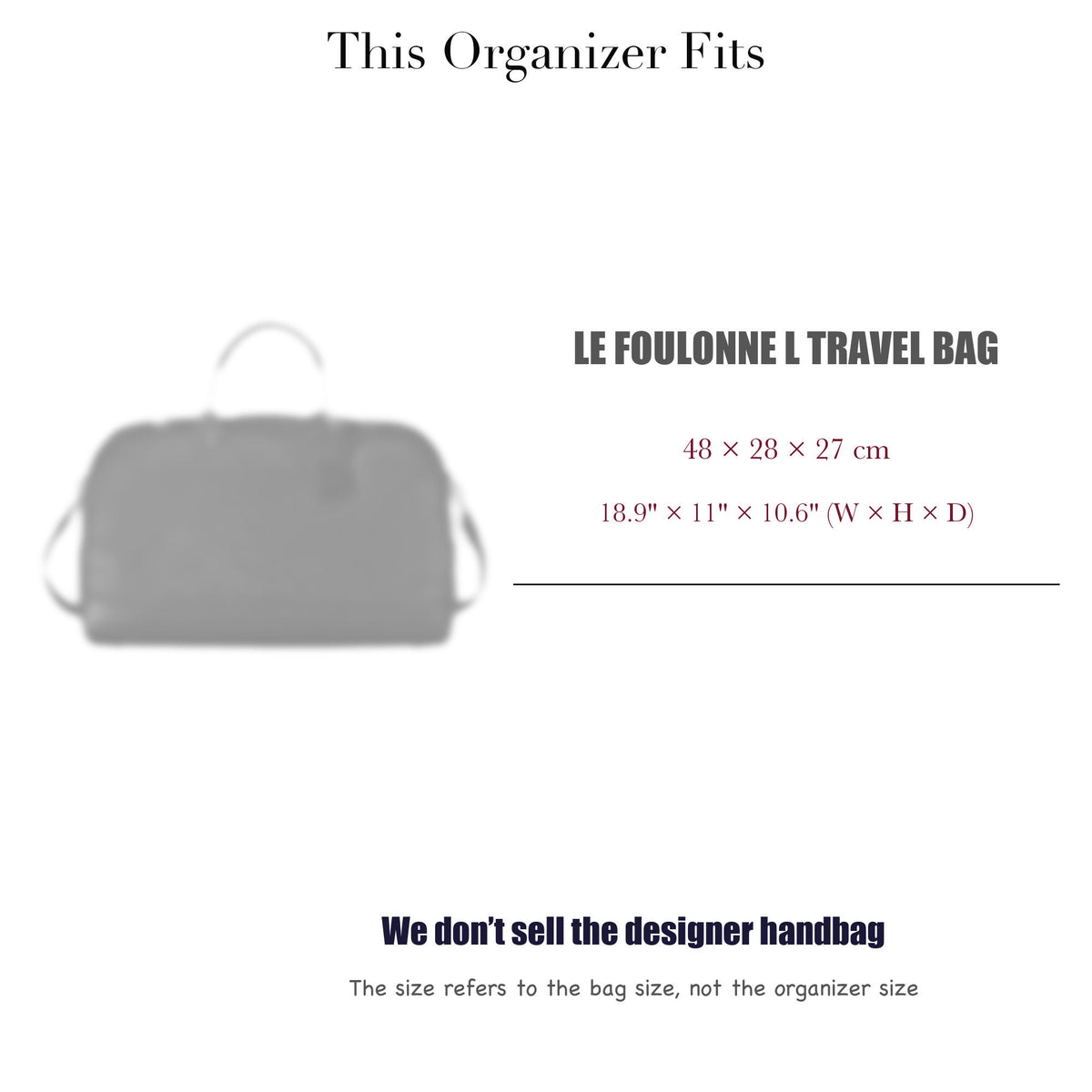 Bag Insert for (Longchamp, Le Foulonne L Travel Bag) Organizer of Felt Fabric