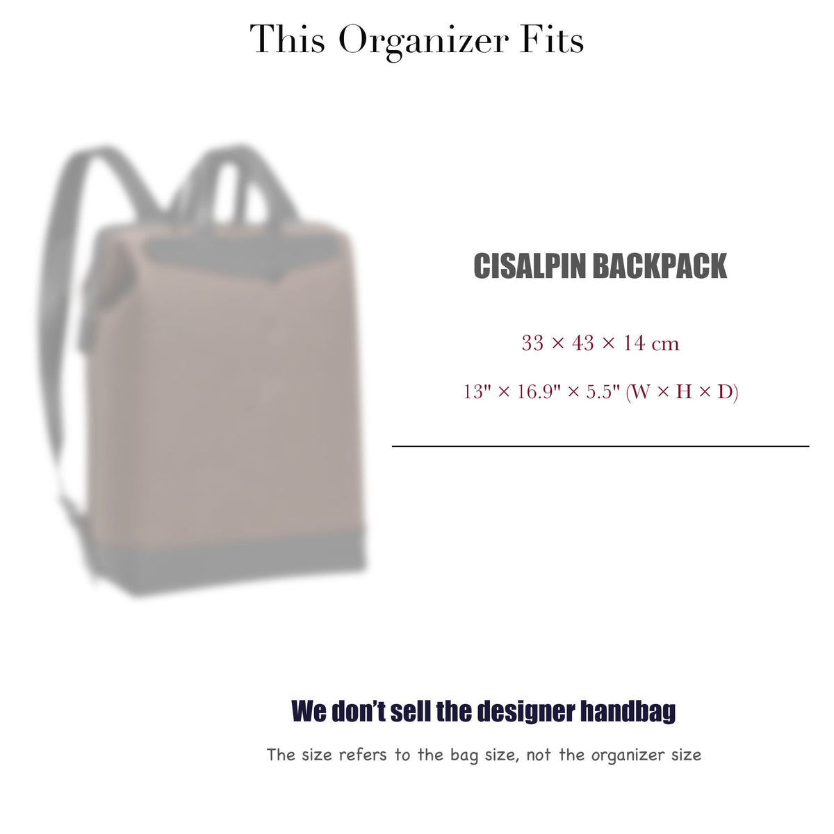 Bag Insert for (Goyard, Cisalpin Backpack) Organizer of Silk Fabric