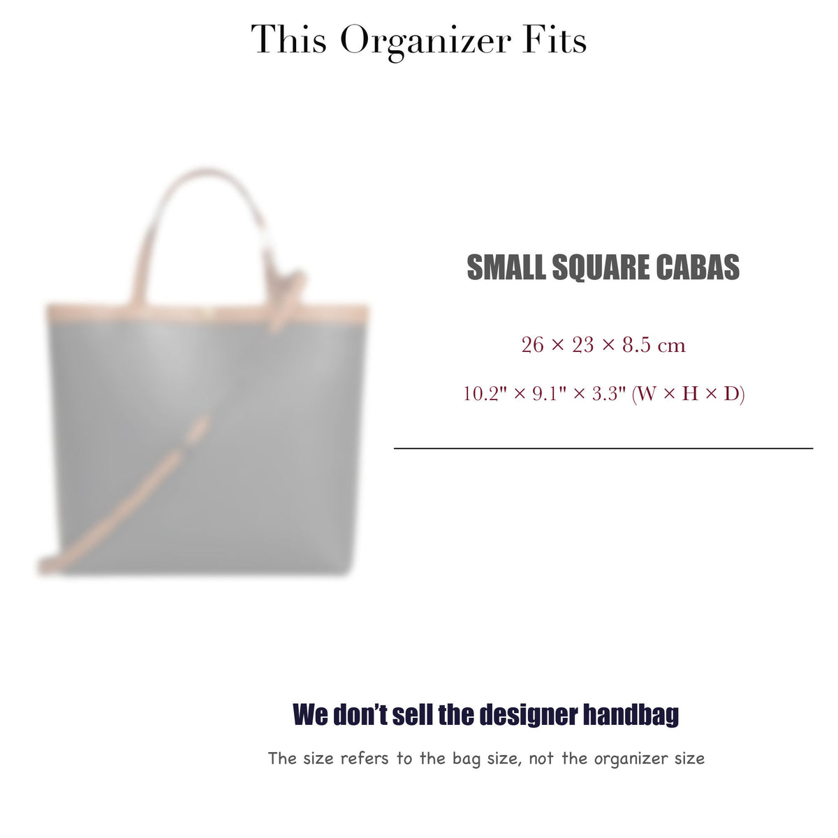 Bag Insert for (Celine, Small Square Cabas) Organizer of Silk Fabric