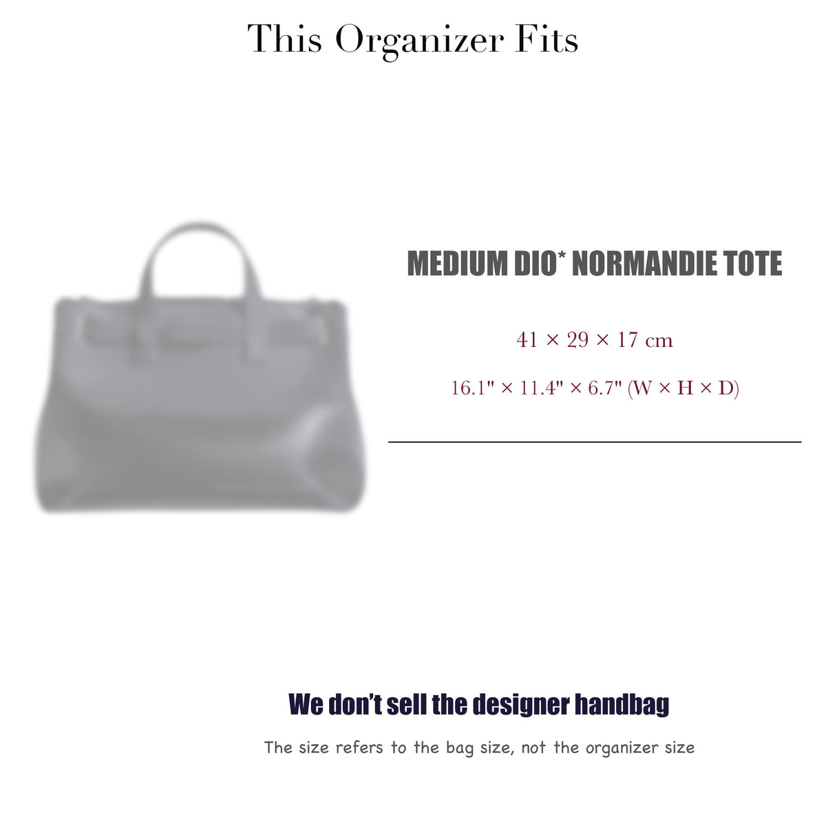 Bag Insert for (Dior, Medium Dio* Normandie Tote) Organizer of Nylon Fabric