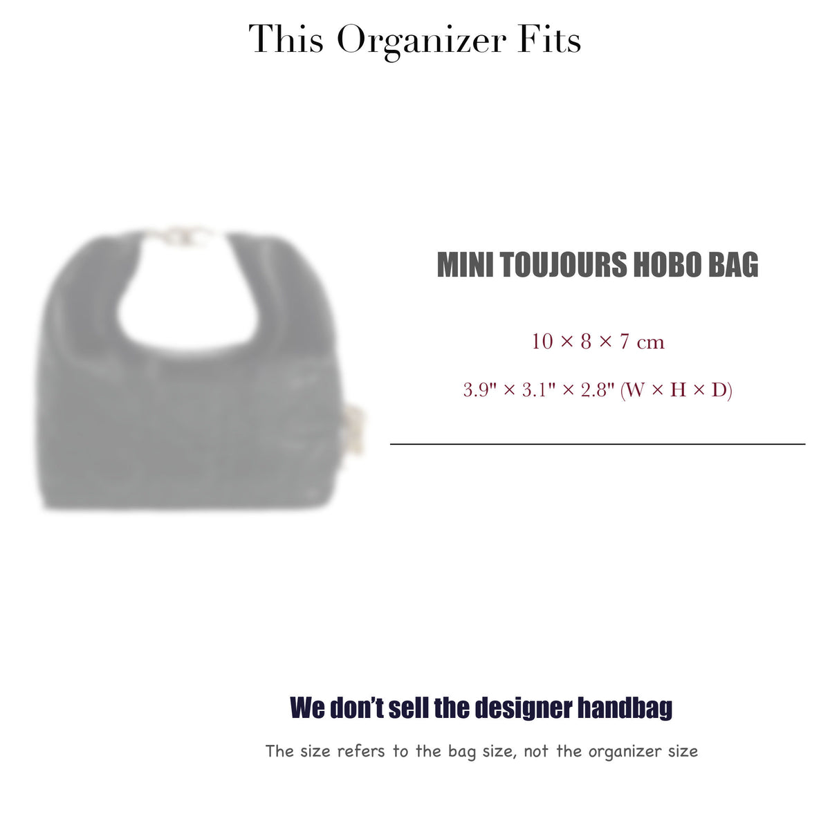 Bag Insert for (Dior, Mini Toujours Hobo Bag) Organizer of Silk Fabric