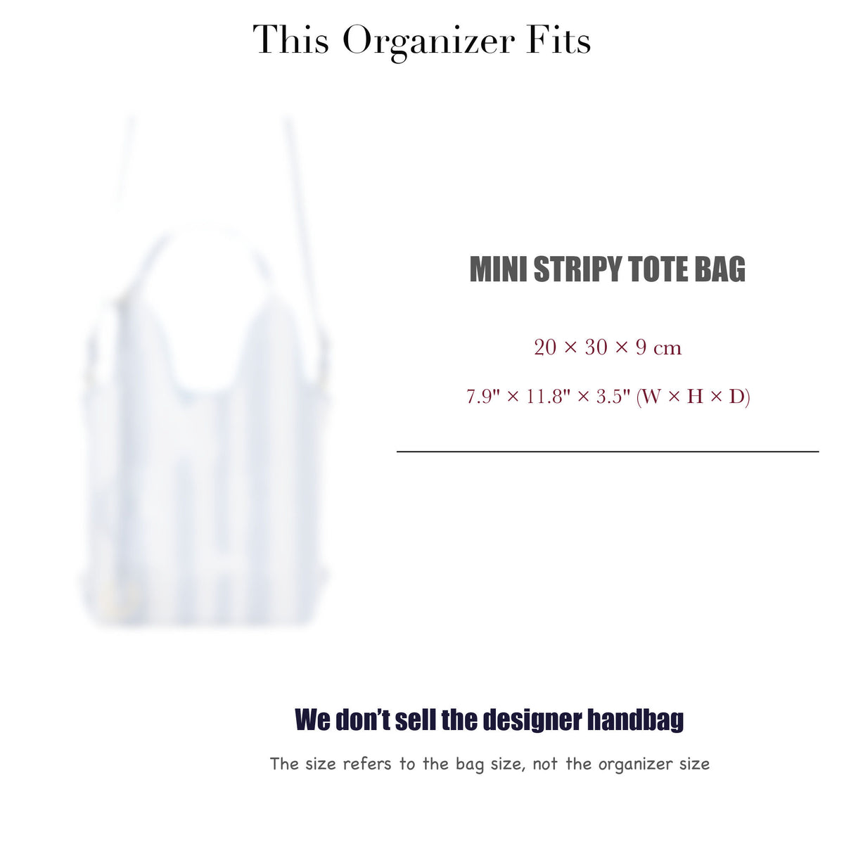 Bag Insert for (Chloe, Mini Stripy Tote Bag) Organizer of Silk Fabric