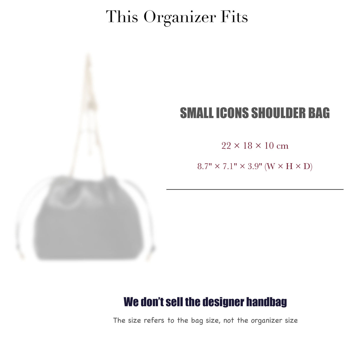 Bag Insert for (Chloe, Small Icons Shoulder Bag) Organizer of Silk Fabric