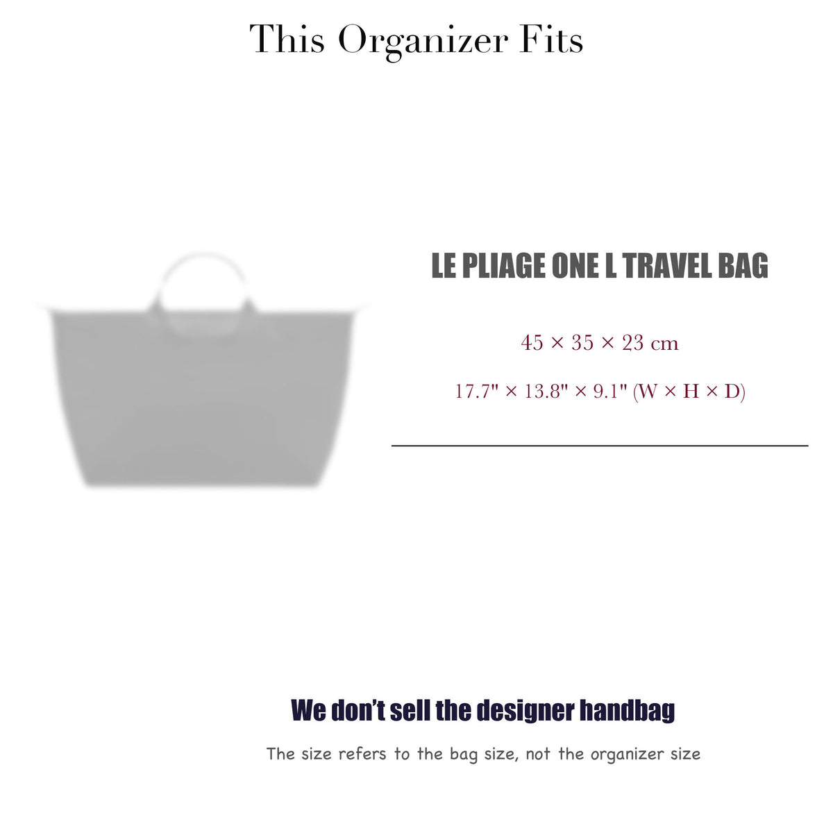 Bag Insert for (Longchamp, Le Pliage One L Travel bag) Organizer of Nylon Fabric