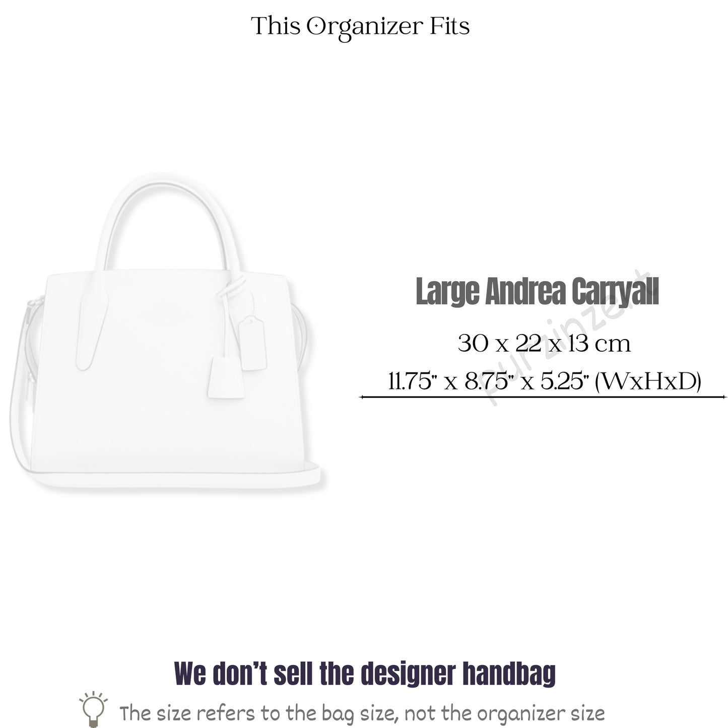 Bag Insert for (Coach, Large Andrea Carryall) Organizer of Silk Fabric